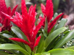 -徐家汇源景区-衡山公园