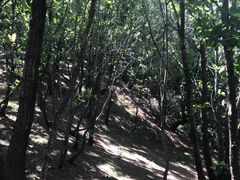 -六里坪国家森林公园