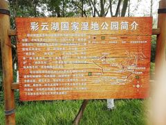 -重庆彩云湖湿地公园