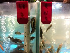 -丹江渔村(首都机场店)