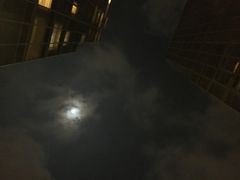 -香港皇家太平洋酒店