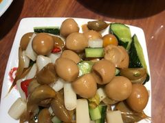 -三厂烩羊肉(五龙口店)