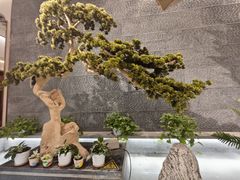 -湘阅•威海海鲜•湖南味道(华宝店)