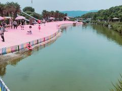 -苏州太湖西山岛开心农场