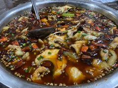 水煮鲶鱼-清泉馆(望江路店)