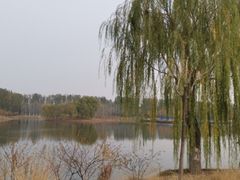 -东郊湿地公园