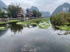 -靖西鹅泉风景区