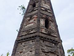 -上海佘山国家森林公园天马山园