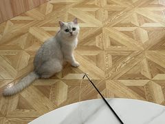 -青柠影咖·私人影院(龙泉店)