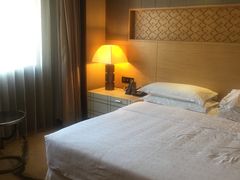 -西安赛瑞喜来登大酒店