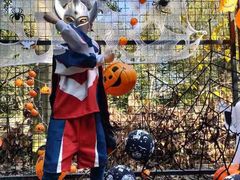 -新加坡伊顿上海马雅思幼儿园