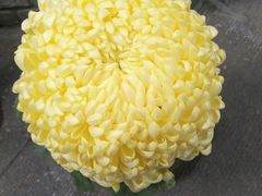 -我嘉书房(南翔名士居店)