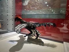 -国家自然博物馆