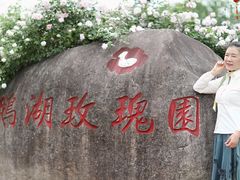 -鹅湖玫瑰文化园