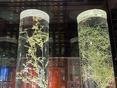 -广东中医药博物馆