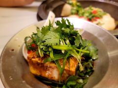 -双福饺子营餐厅(财富广场店)