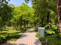 -嘉北郊野公园