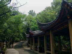 -灵岩山风景区