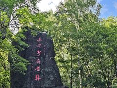 -汤旺河林海奇石景区