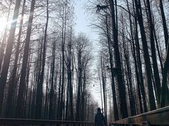 -青山湖景区