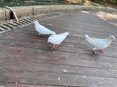 -南昌之星游乐场