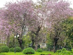-晓港公园