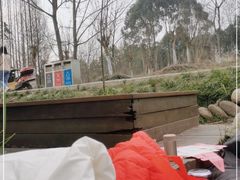 -桤木河湿地公园