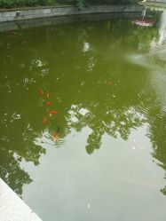 -莲生母婴月子中心(清水河公园店)