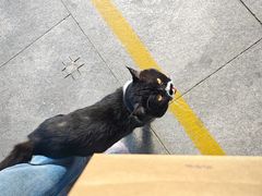 -开口笑·精选水饺