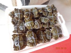 大闸蟹-小陆莲花蟹园农家乐(莲花岛店)
