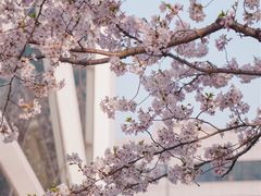 -龙美术馆(西岸馆)