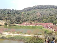 -南国桃园旅游度假区