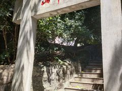 -小洲村