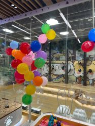 -小象动悟公园(龙湖亦庄天街店)