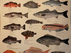 -镹·鱼料理  国产鱼使用店