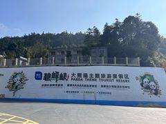 -中国大熊猫保护研究中心雅安碧峰峡基地