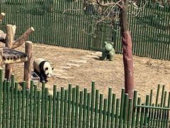 -沈阳森林动物园