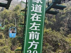 -野象谷景区
