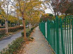 -新江湾城公园