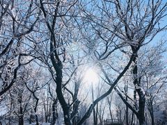 -中旅松花湖滑雪场