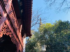 -西泠印社