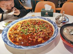 -新概念来凤鱼(璧山店)