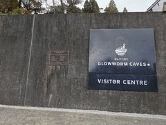 -怀托摩萤火虫洞