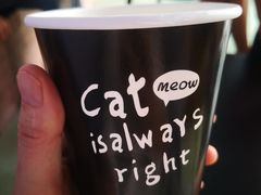 -喵屿·大理花园猫咖