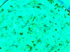 -卧龙堡客栈·中餐厅(古北水镇店)