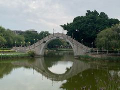 -金砂公园