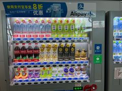 -关西机场 JR ticket office(Kansai Airport)
