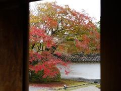 -醍醐寺