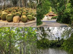 -深圳仙湖植物园-停车场