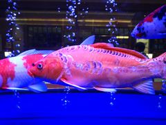 -大江户·温泉洗浴(浑南店)